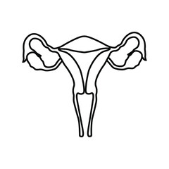 Female Uterus Icon