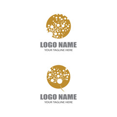 Dandelion flower logo vector template design