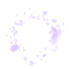 Violet flower petals falling down. Delicate romant
