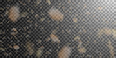 Yellow orange flower petals falling down. Pretty r