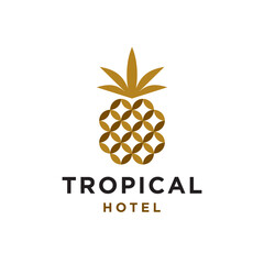 abstract golden geometric pineapple logo icon shape vector, in trendy minimal luxury style design Illustration
