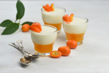 Italian dessert panna cotta with mandarin jelly  decorated with slice of fruits on white background.