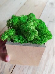 Moss decoration