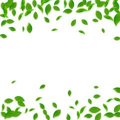 Falling green leaves. Fresh tea chaotic leaves fly