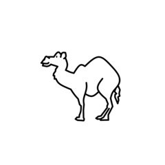 Vector illustration of camel icon