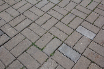A rectangular tile with grass growing between it.
