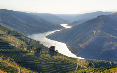 Amazing views of Douro vineyards and river from Valença do Douro, Portugal - obrazy, fototapety, plakaty