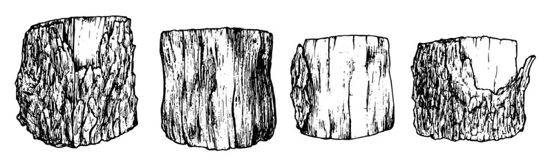vector set of stumps in the sketch style .Black outline isolated wood elements hand drawn cross sawn tree trunk with bark texture on white background for your design template