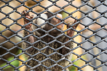 
A zoo in thailand near pattaya, and a large selection of animals.
