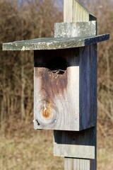 A close view of the wood birdhouse in the park.