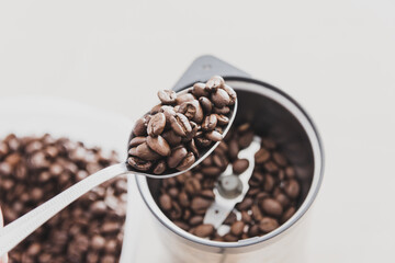 Hand holding spoon full of coffee beans before grinding.