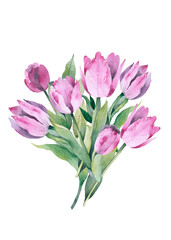 Fototapeta premium Realistic tulips set. Not trace. The blank for your design. Pink tulips flowers on white background.