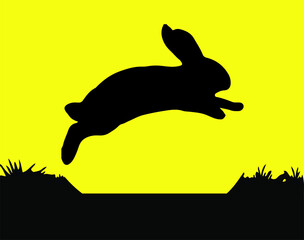 rabbit vector illustration isolated on background