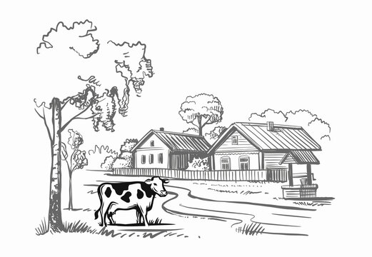 cow stands in a village next to houses