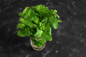 Fresh bunch of mint in a glass on a black grunge background. Selective focus. Mint leaves.