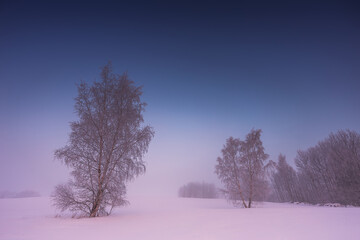 Winter landscape with fog. Warm cold sunrise landscape