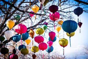 Fototapeta na wymiar Asian Lanterns in tree
