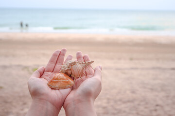 small shell on woman hand with sand beach and sea background