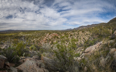 Beautiful and serene Landscape