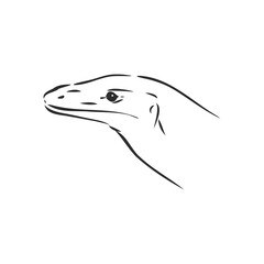 hand drawn, sketch illustration of Komodo dragon. varan vector sketch illustration