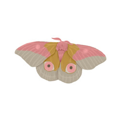 pink butterfly with eye illustration