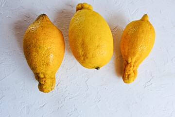 Trendy ugly organic fruits - three yellow lemons on the table with copy space for text. Horizontal...