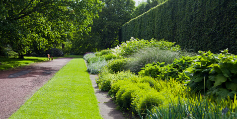 Lush green botanical garden - blooming spring flowers and lawn path.