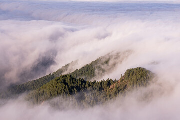 fog in the mountains