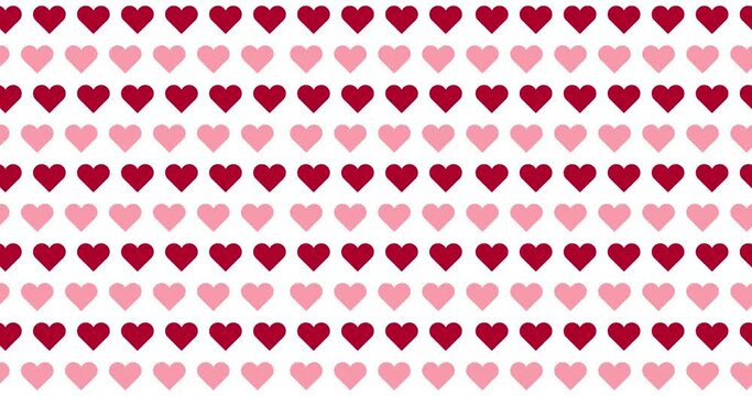 Seamless pattern vector with hearts on white background. Seamless looped motion graphic animation hearts for Valentines day concept. The 14th of February.