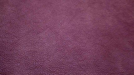 Fototapeta premium Purple cattle leather texture background