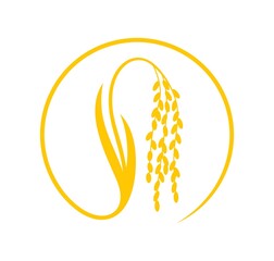 Rice logo. Isolated rice on white background