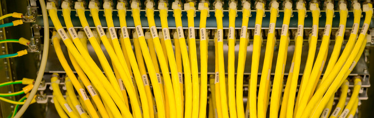 Fototapeta premium Netzwerkswitch mit RJ45 Netzwerkkabel in einem Rechenzentrum