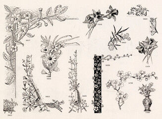 Obraz premium MISCELLANEOUS Selection of Vintage Design Elements - 1800s Antique Stock Artwork
