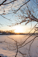 beautiful winter sunset over snow covered lake with snow covered tree branches in the foreground