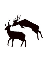 Illustration Silhouette Of Set of  Two Deer Isolated On White Background .