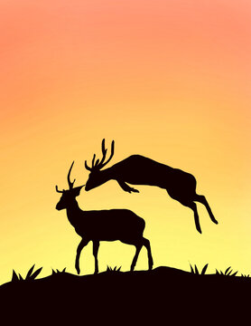 Beautiful Illustrated Silhouette Of  Set Of Two Deers  Playing On Beautiful Sunset .
