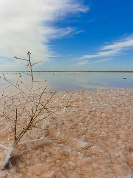Salt crystals above view glossy soft texture close up Pink Lake Loch iel Lake reserve historically known as Lake Lochiel, a circular salty pink lake,
