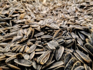 Sunflower seed and plant. Background image of sunflower seeds.