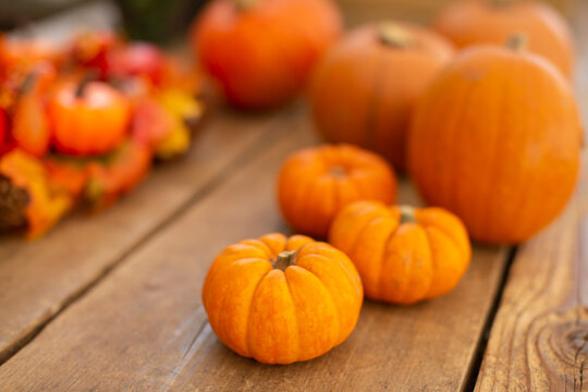Close up vibrant orange pumpkin display on wood table