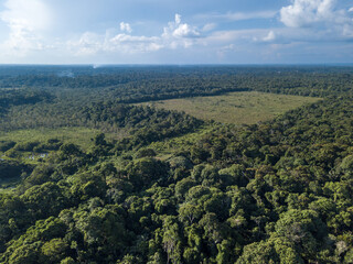 Fototapeta na wymiar Drone aerial view of deforestation area pasture for cattle farms in the Amazon rainforest, Brazil. Concept of ecology, destruction, conservation, CO2, agriculture, global warming, environment. 