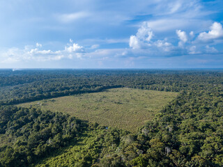 Drone aerial view of deforestation area pasture for cattle farms in the Amazon rainforest, Brazil. Concept of ecology, destruction, conservation, CO2, agriculture, global warming, environment.	