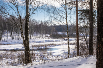 Winter landscape with a birch grove and a small river on a sunny day.