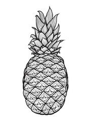 hand drawn pineapple. Vector illustration. Isolated on white. Doodle. Sketch.