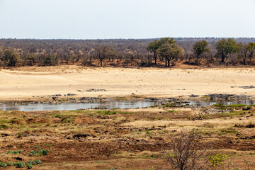 The mighty Olifants river, has many features to it. This section is what streteches within the Kruger national park, South Africa and flows into Mozambique.