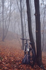 Fototapeta na wymiar Arges Romania - 09 19 2019: cycling through the forest in the cold and foggy autumn season with Bullet HT mountain bike
