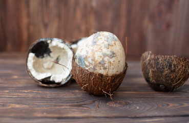 Rotten coconut on a wooden background. Spoiled products.