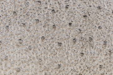 Concrete wall in greay at oudoor