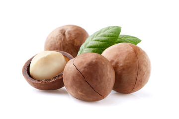 Macadamia nuts with leaves on white background