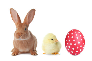 Obraz na płótnie Canvas Cute bunny, baby chick and bright Easter egg on white background