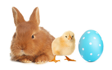 Cute bunny, baby chick and bright Easter egg on white background